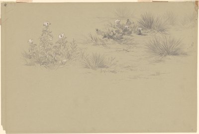 Buisson en Fleurs et Plantes du Désert - American 19th Century after John Frederick Kensett