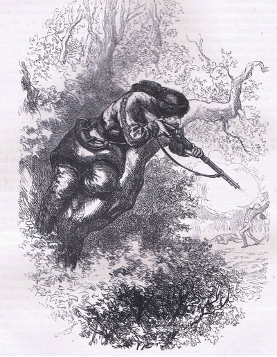 Tireur américain dans un arbre, illustration de l