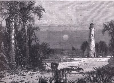 Vue de la côte de la Floride, illustration de l