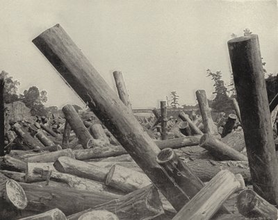 Embâcle de bois dans la rivière St Croix, Wisconsin - American Photographer (after)