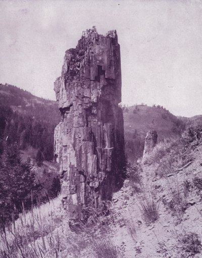 Un arbre pétrifié dans les mauvaises terres du Dakota - American Photographer (after)