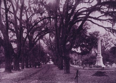 Cimetière Bonaventure, Savannah, Géorgie - American Photographer (after)