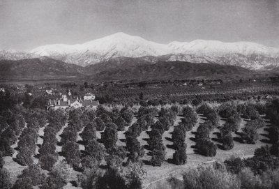 Californie : Redlands, depuis Smiley Heights, soleil, orangeraies et sommets enneigés - American Photographer (after)