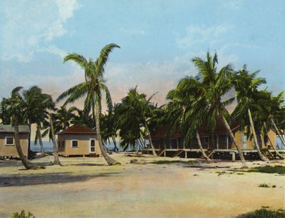 Cottages au Long Key Fishing Camp (photo) - American Photographer (after)