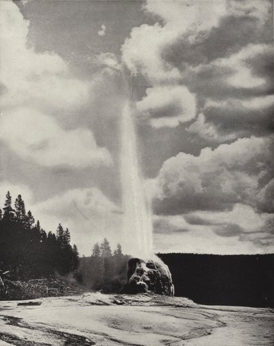 Geyser Lone Star, Yellowstone, Wyoming (photo n/b) - American Photographer (after)
