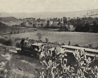 Près de Tula, Mexique - American Photographer (after)