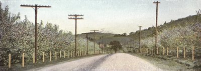 Oregon : Une route dans la vallée de Hood River - American Photographer (after)