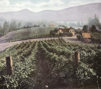 Oregon : Agriculture diversifiée dans la vallée de Willamette - American Photographer (after)