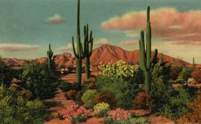 Phoenix, Arizona : Camel Back Mountain et désert - American Photographer (after)
