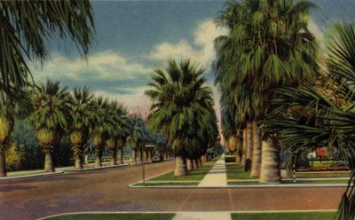 Phoenix, Arizona : North Central Avenue (photo) - American Photographer (after)