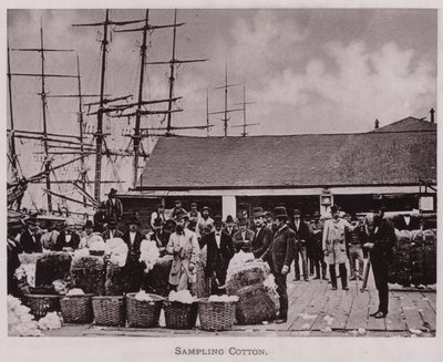 Échantillonnage de coton - American Photographer (after)