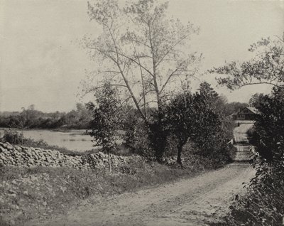 Étang des grenouilles de Windham, Windham, Connecticut - American Photographer (after)