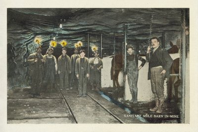 Mine de charbon américaine : Bâtiment sanitaire pour les mulets dans la mine (photo couleur) - American Photographer