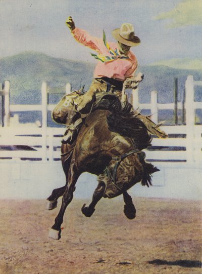 Cowboy dressant un cheval - American Photographer