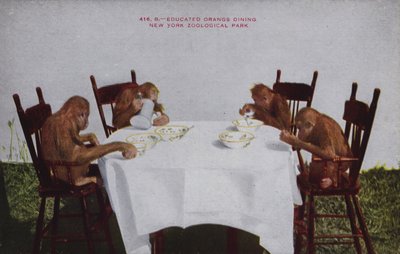 Dîner d