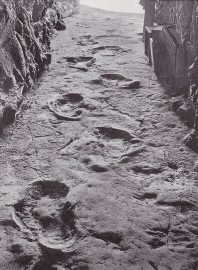 Empreintes fossilisées de mammouths, Carson City, Nevada, États-Unis (photo n/b) - American Photographer