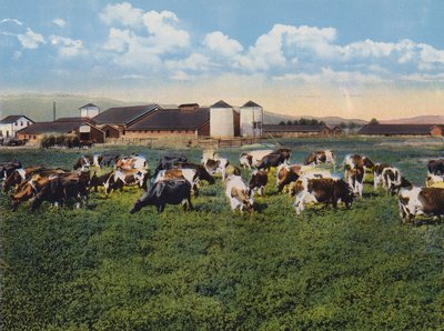 H R Timm Dairy, Dixon, Californie (photo couleur) - American Photographer
