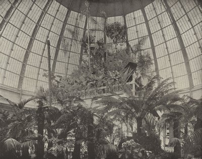 Intérieur du dôme horticole - American Photographer