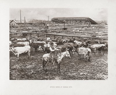 Kansas City, Missouri, États-Unis - American Photographer