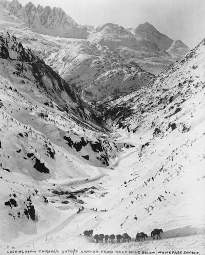Vue plongeante à travers Cutoff Canyon à un demi-mile en dessous du sommet de White Pass, pendant la ruée vers l