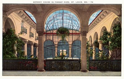 Maison des singes, Forest Park, St Louis, Missouri, États-Unis (photo couleur) - American Photographer