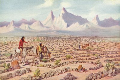 Labyrinthe mystique des Indiens Mojave, près de Needles, Californie - American Photographer