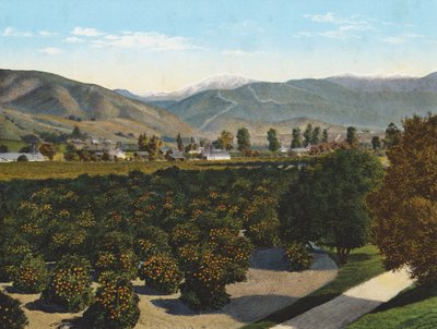 "Old Baldy" de la vallée de Pomona (photo couleur) - American Photographer