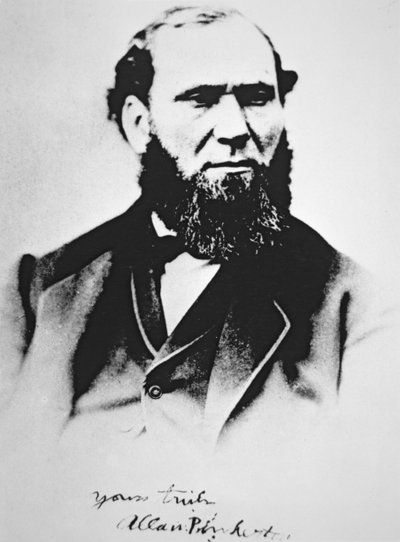 Portrait d