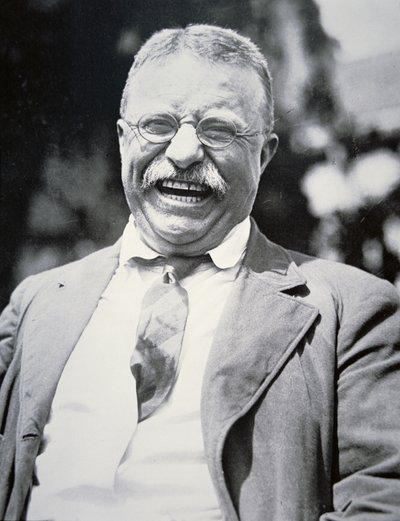 Le président Theodore Roosevelt, vers 1917 (photo n/b) - American Photographer