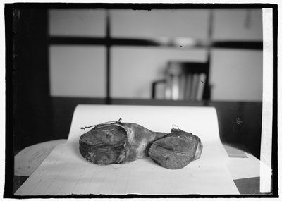 Unité de prohibition (chaussures de vache), 28 juin 1924 (photo n/b) - American Photographer