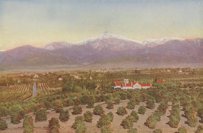 Redlands, Californie, Vue de Smiley Heights (photo colorisée) - American Photographer