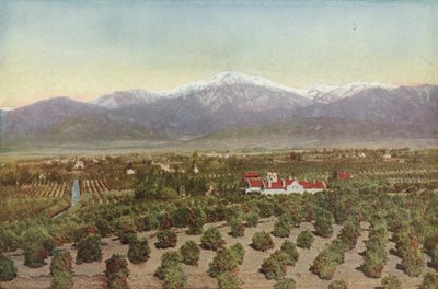 Redlands, Californie, vue depuis Smiley Heights - American Photographer