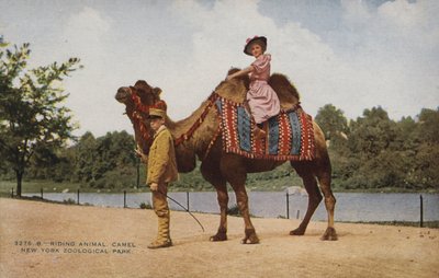 Chevauchée d