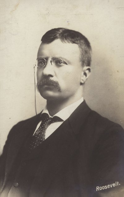 Roosevelt - American Photographer