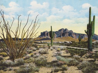 Montagne et désert de Superstition, "Apache Trail" (photo couleur) - American Photographer