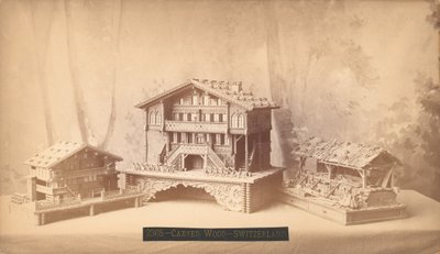 Cottages suisses, modèles sculptés, Exposition internationale du centenaire de Philadelphie, 1876 - American Photographer