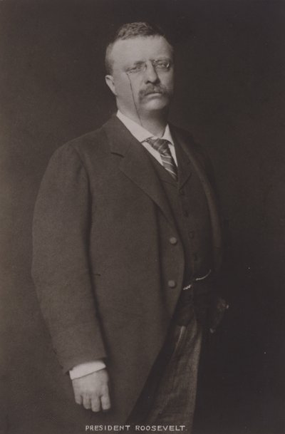 Theodore Roosevelt, 26e Président des États-Unis, 1904 - American Photographer