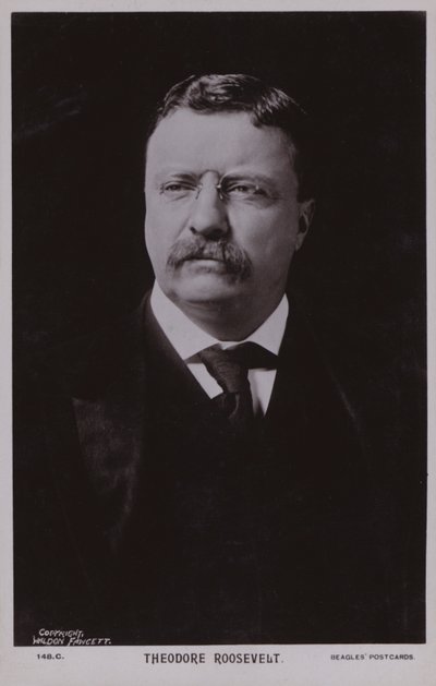 Theodore Roosevelt, homme politique américain et 26e président des États-Unis (photo n/b) - American Photographer