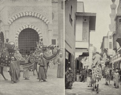 Scènes typiques dans la rue du Caire - American Photographer