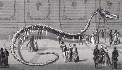 Squelette de 114 pieds de long du faux serpent de mer 