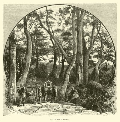 Une route de campagne - American School
