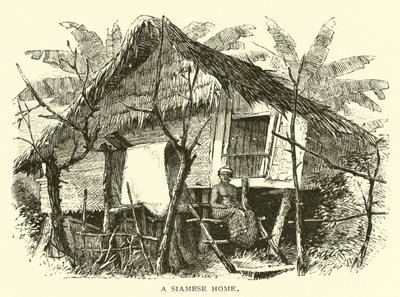 Une maison siamoise - American School