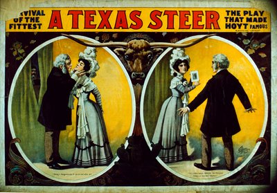 Un bœuf du Texas - American School