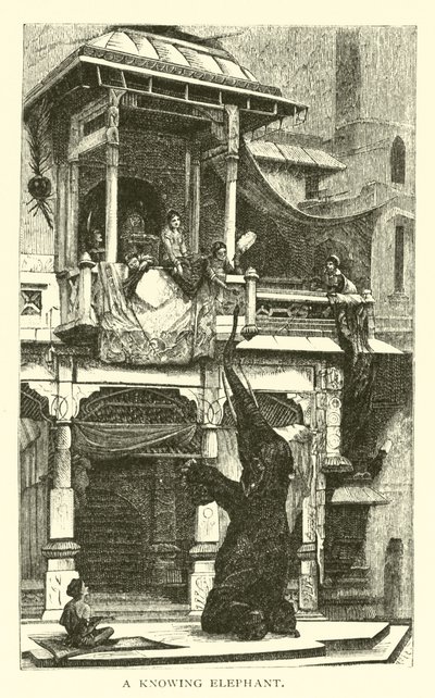 Un éléphant savant - American School
