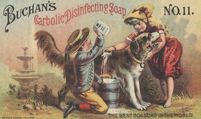 Publicité pour le savon désinfectant carbolique de Buchan No. 11, c.1880 - American School