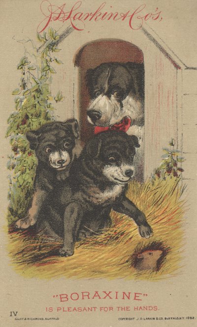 Publicité pour le Boraxine de J. D. Larkin & Co., 1882 - American School