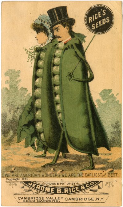 Publicité pour les graines de Rice (lithographie en couleur) - American School