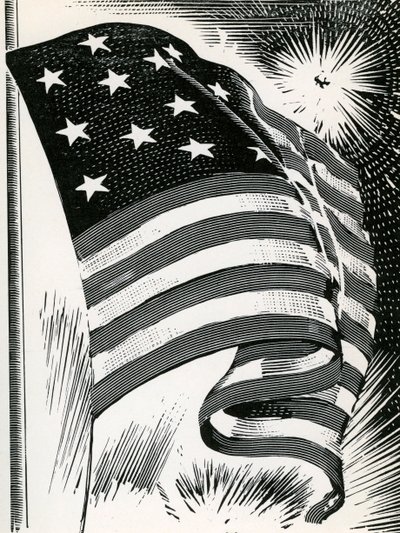Drapeau américain flottant au-dessus de Fort McHenry - American School