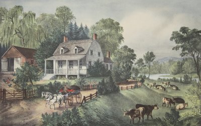 Ferme Américaine - Été - American School