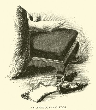 Un pied aristocratique - American School